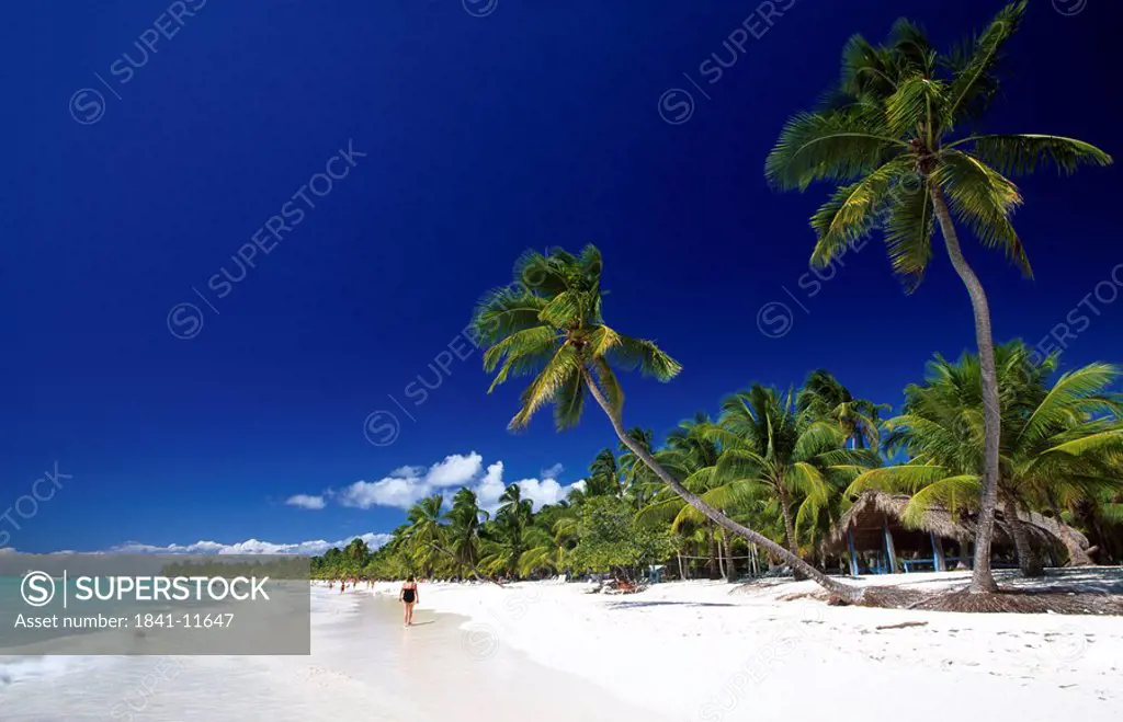 Palm trees and tourists on beach, Saona Island, Parque Nacional del Este, Punta Cana, Hispaniola, Dominican Republic