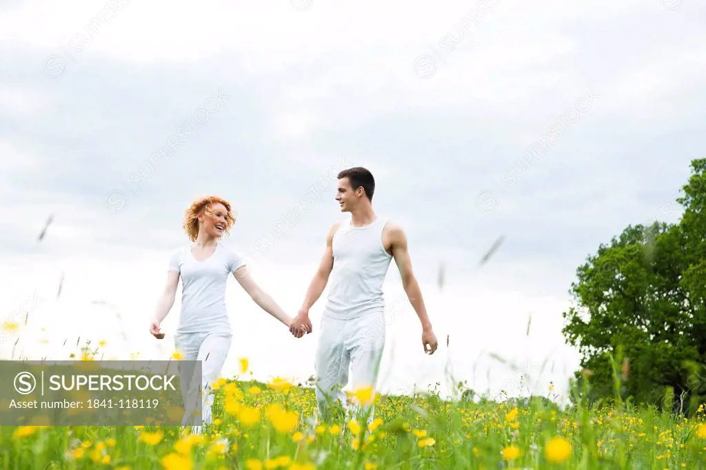 Young couple walking hand in hand in meadow