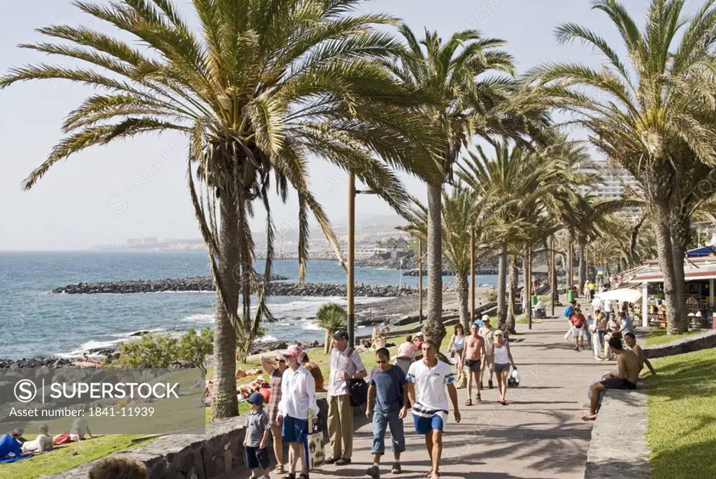 Tourists walking near palm trees on beach, Playa De Las Americas, Tenerife, Canary Islands, Spain