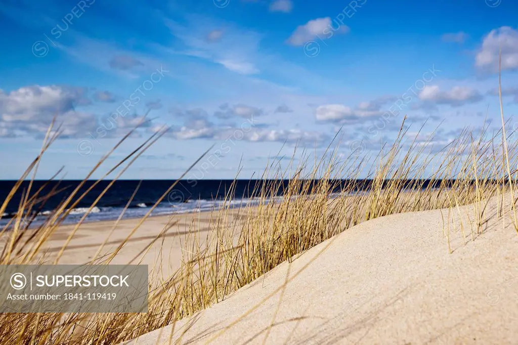 Dunes and North Sea, Sylt, Schleswig_Holstein, Germany, Europe