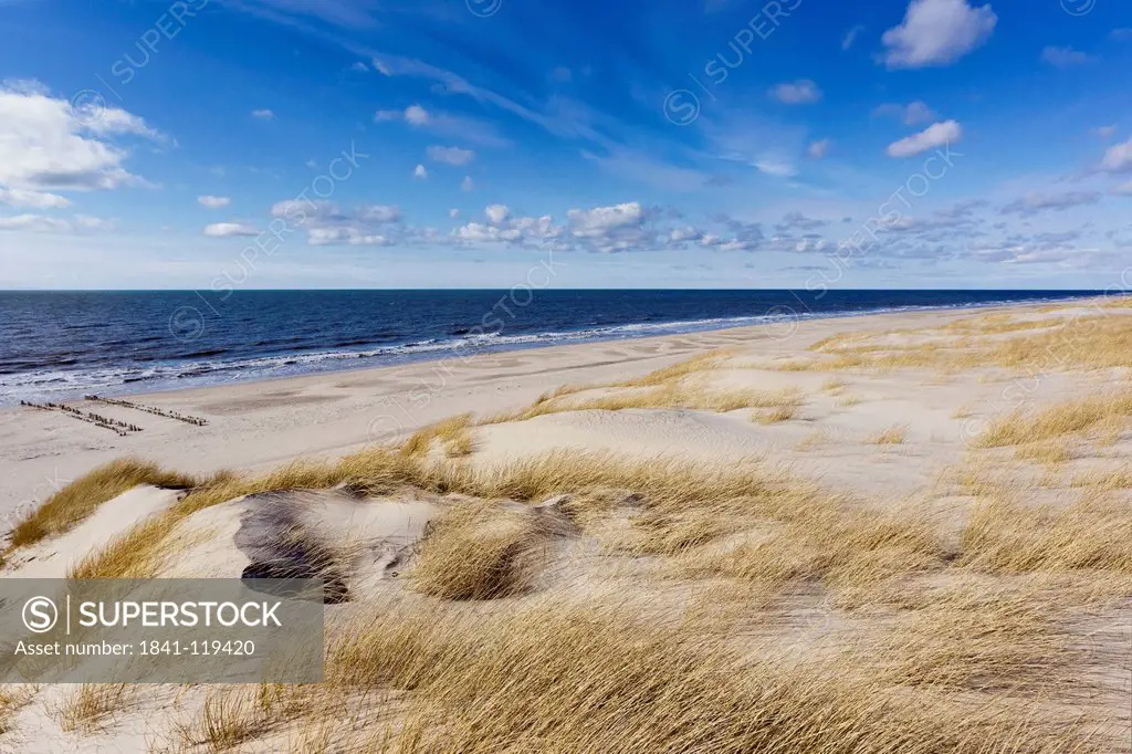 Dunes and North Sea, Sylt, Schleswig_Holstein, Germany, Europe