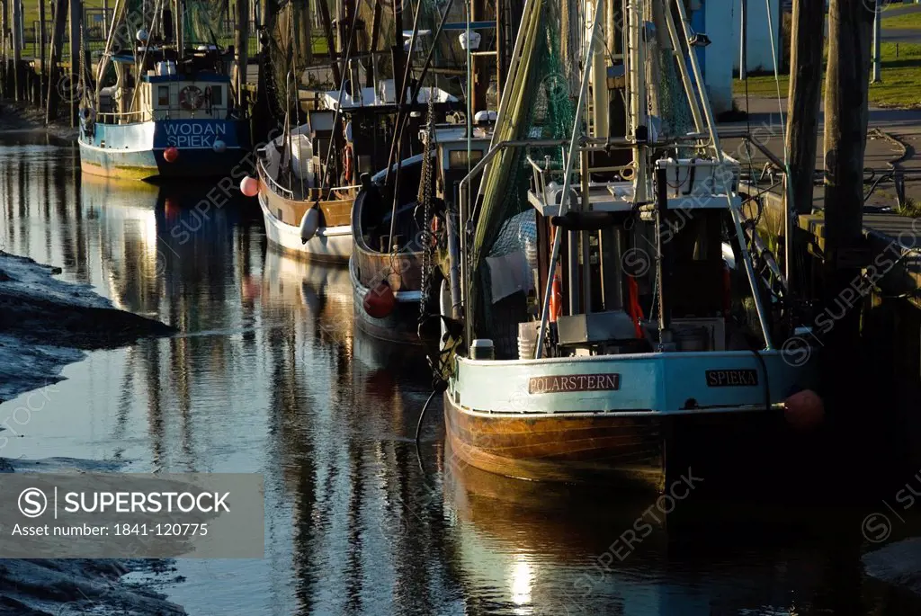Shrimp boats in harbour, Spieka_Neufeld, Nordholz, Lower Saxony, Germany, Europe