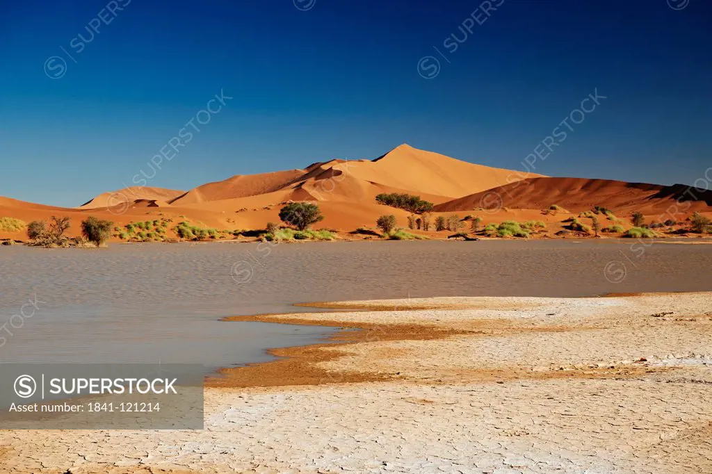 Desert Namib, Sossusvlei, Namib_Naukluft National Park, Namibia, Africa