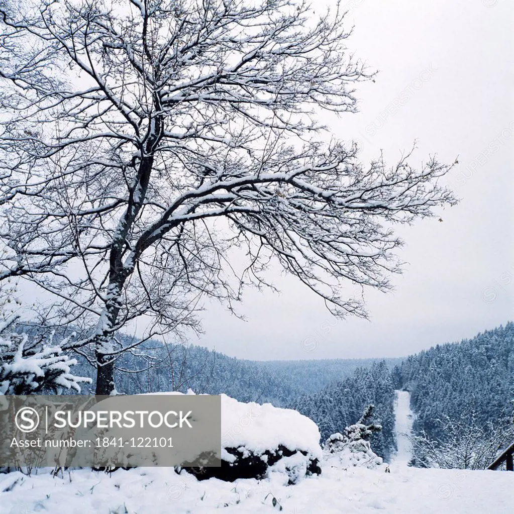 Winter landscape, Freudenstadt, Black Forest, Baden_Wuerttemberg, Germany, Europe