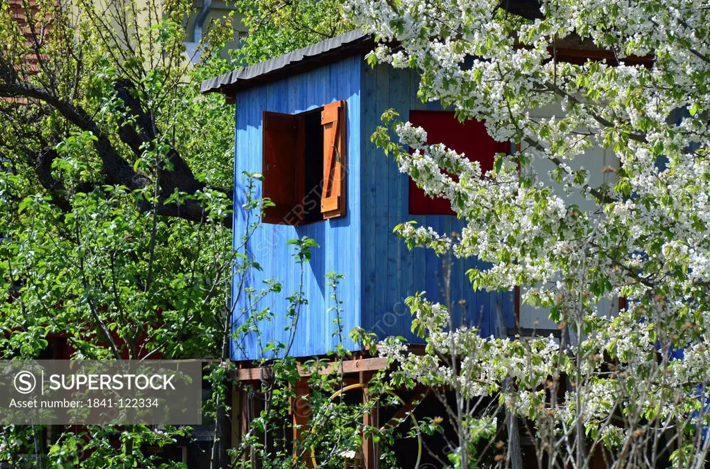 Tree house in blossoming cherry tree