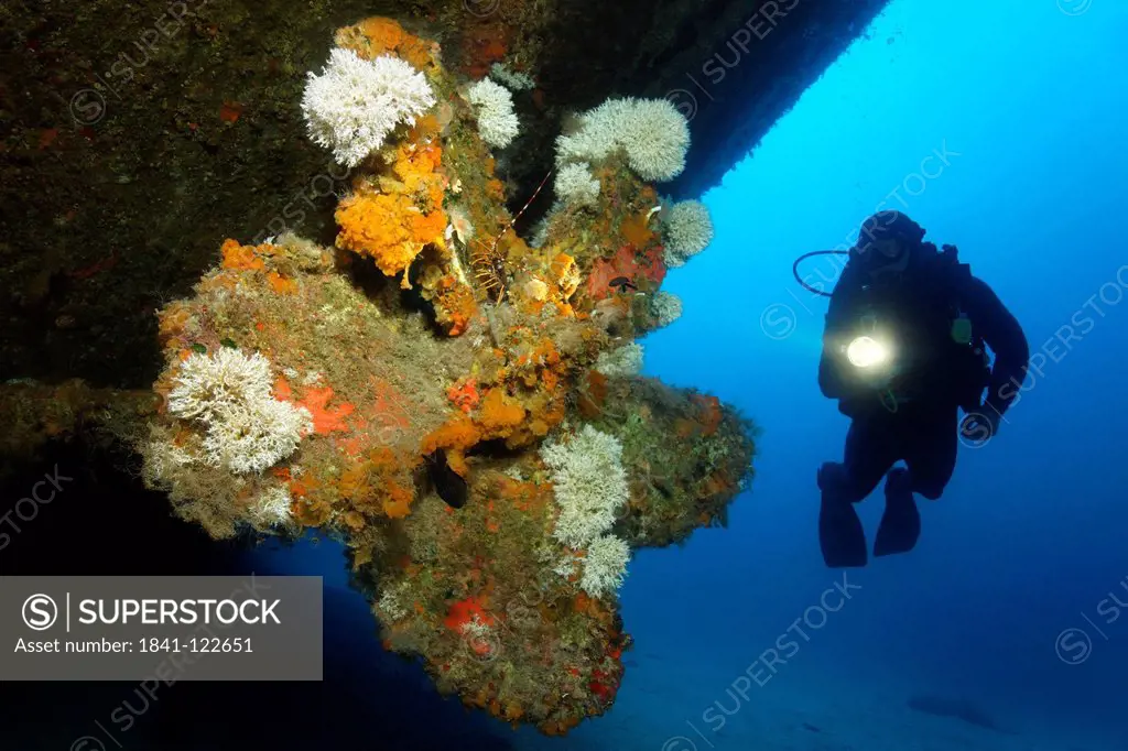 Diver at the wreck of the Karwela, Mediterranean Sea near Gozo, Malta, underwater shot