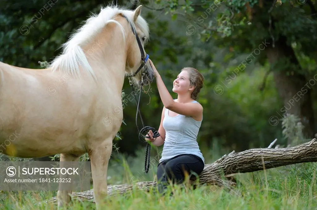 Girl caressing horse