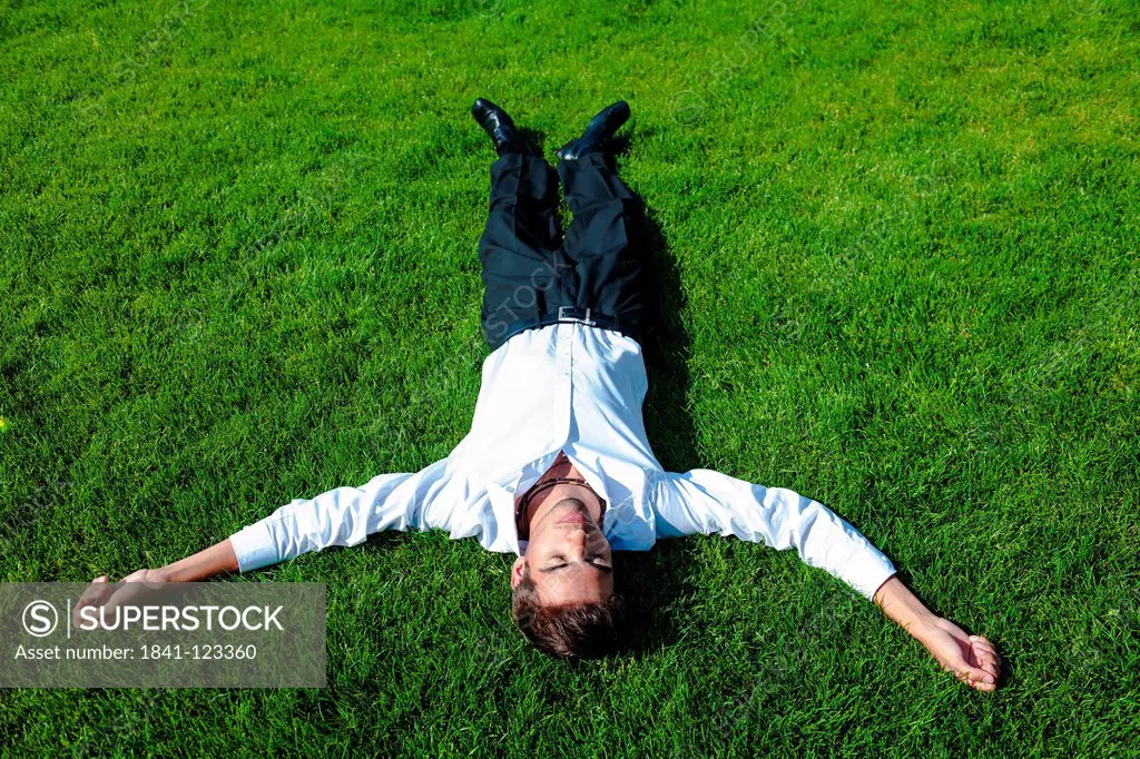 Businessman lying on meadow
