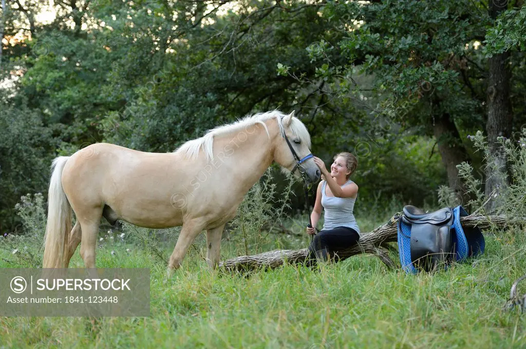 Girl caressing horse