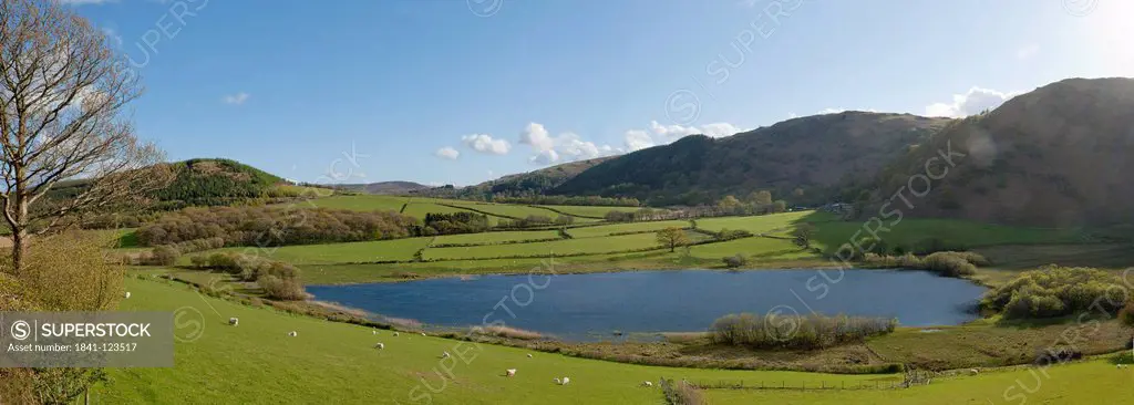 Rural landscape, Cambrian Mountains, Powys, Wales, UK