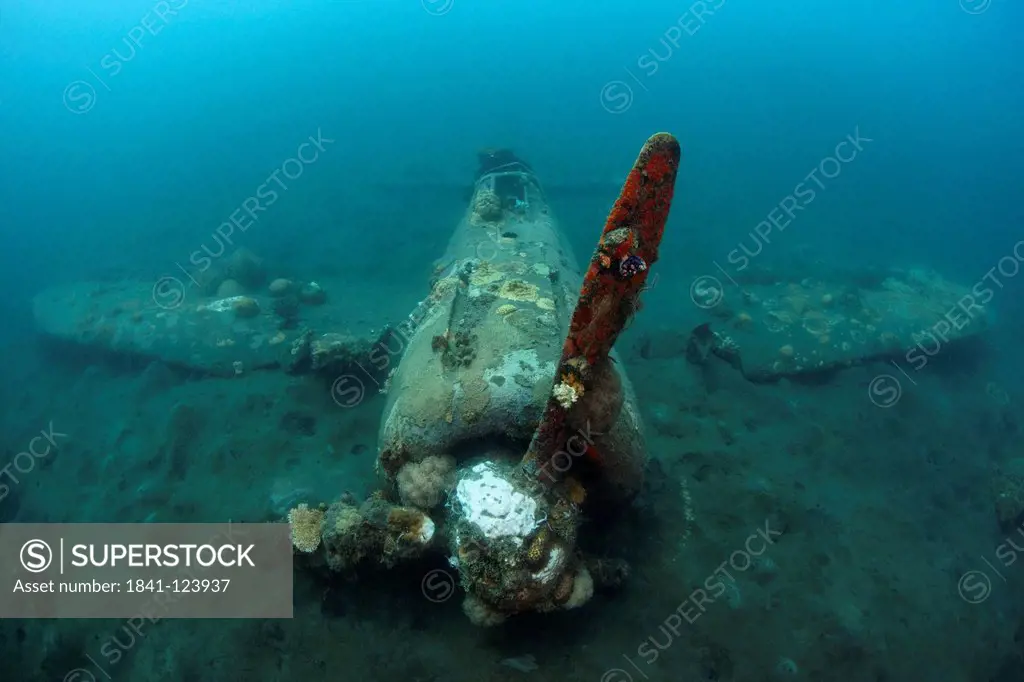Wreck of a japanese zero fighter plan in Kimbe Bay, Papua New Guinea
