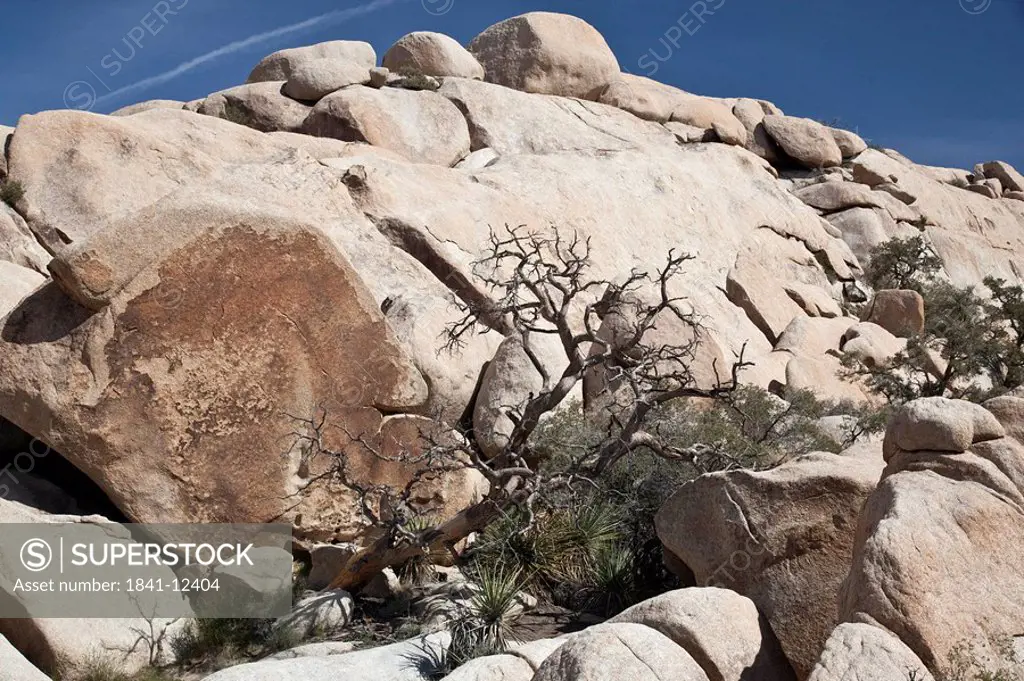 Rocks in the Joshua Tree National Park, California, USA, low angle view