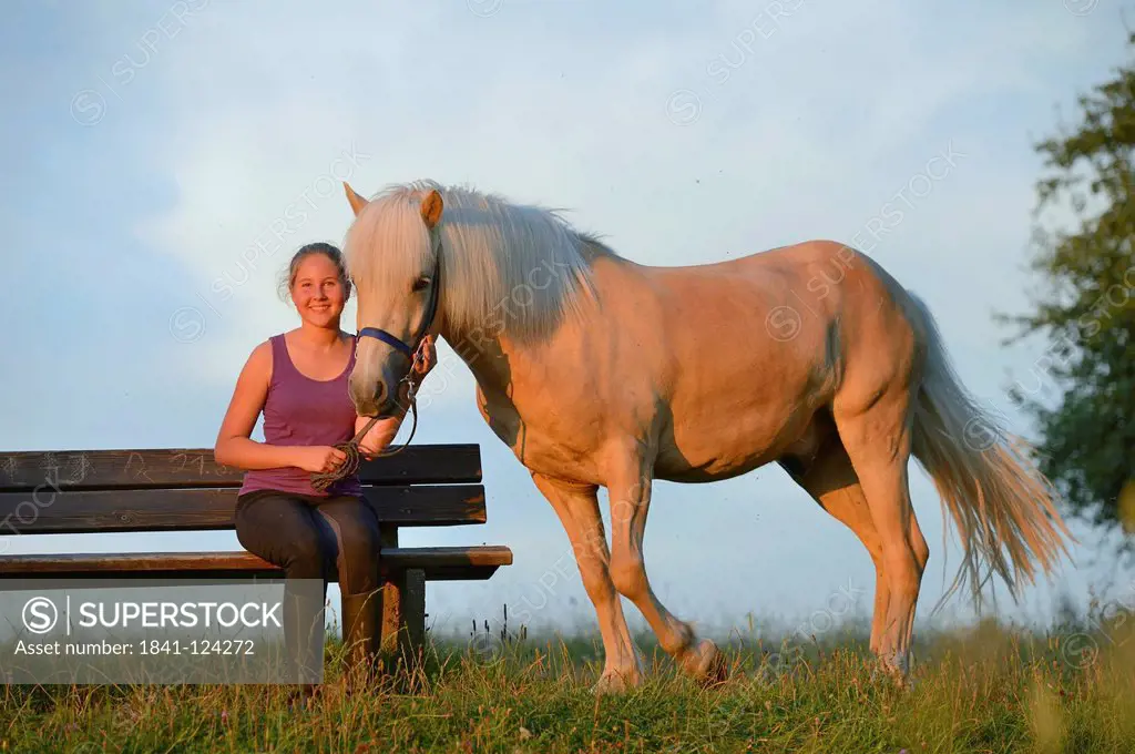 Girl on bench with horse