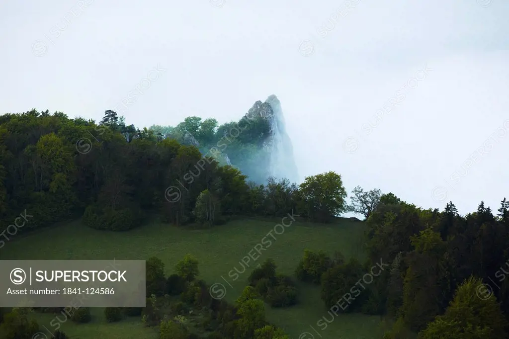 Morning fog with forest and rocks in the Danube Valley