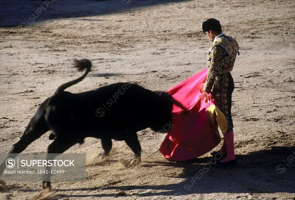 Bullfighter fighting with bull in arena, Plaza De Toros De Las Ventas, Madrid, Spain