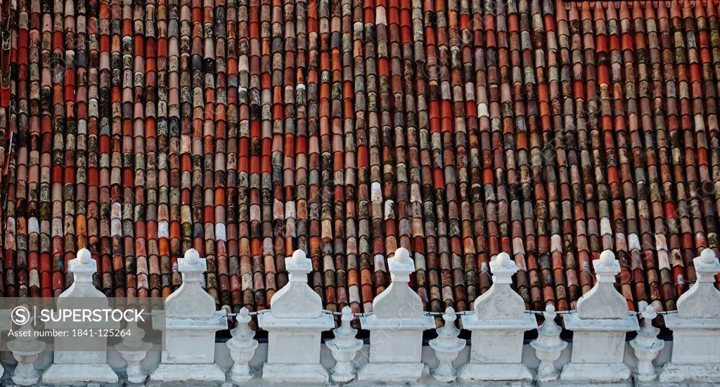 Roof tiles of a building in Venice, Italy