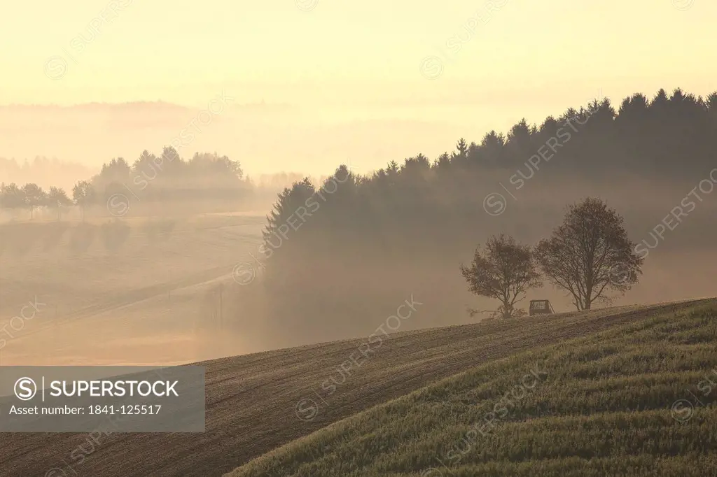 Black Forest, Bavaria, Germany, Europe