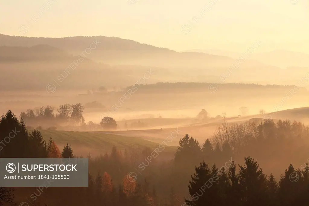 Fields and meadows, Bavarian Forest, Bavaria, Germany, Europe