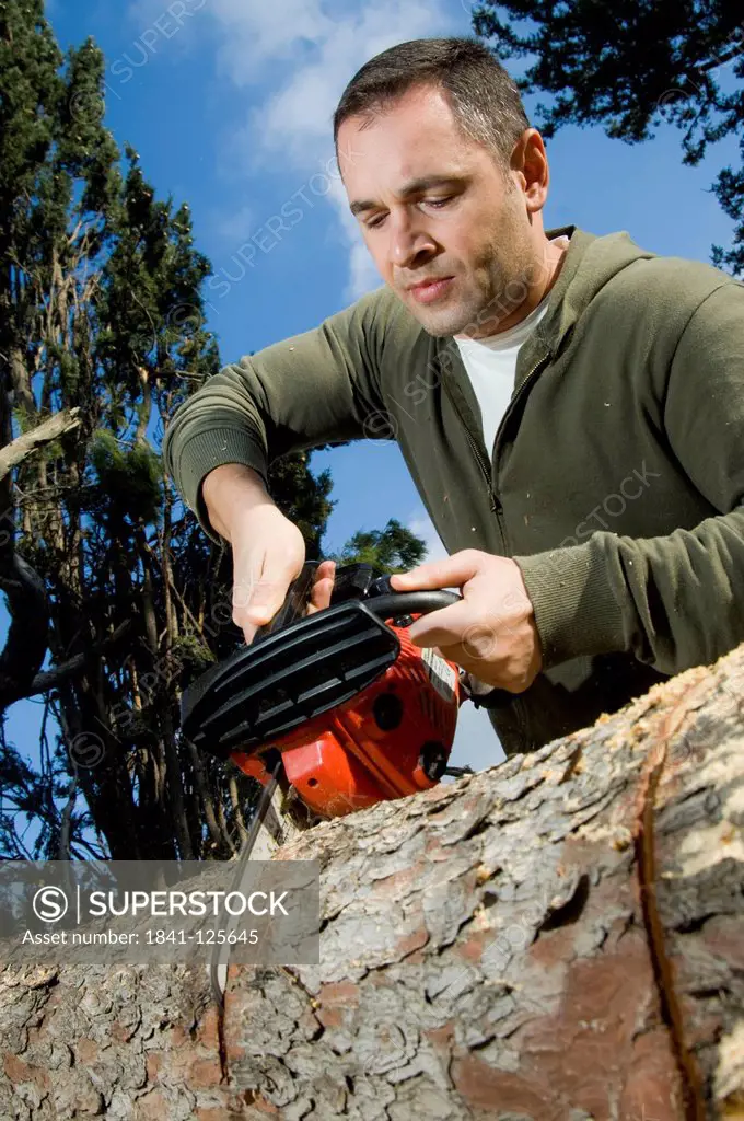 Man sawing log