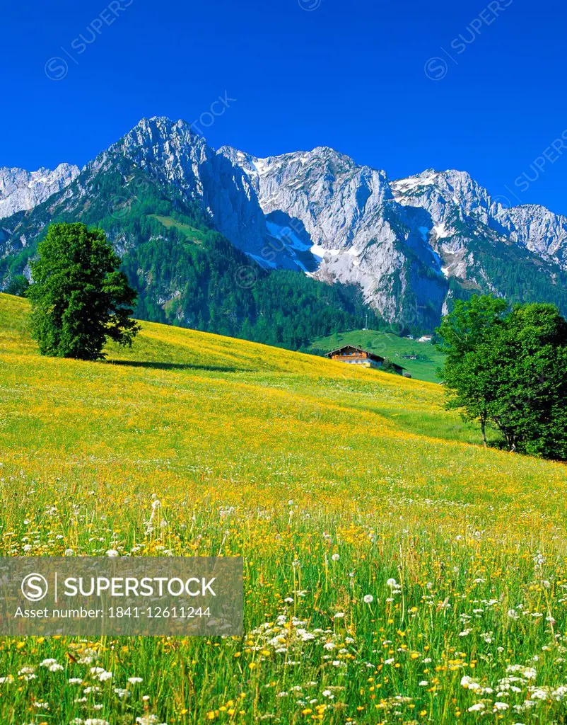 Zahmer Kaiser, Walchsee, Tyrol, Austria