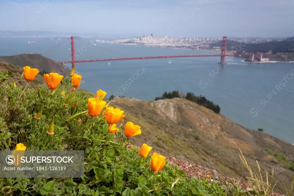 Golden Gate Bridge, California, San Francisco, USA