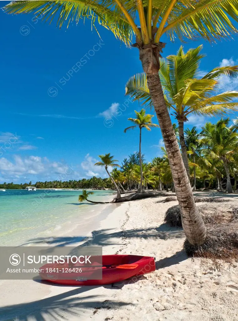 Playa Bavaro, Punta Cana, Dominican Republic, the Caribbean, America