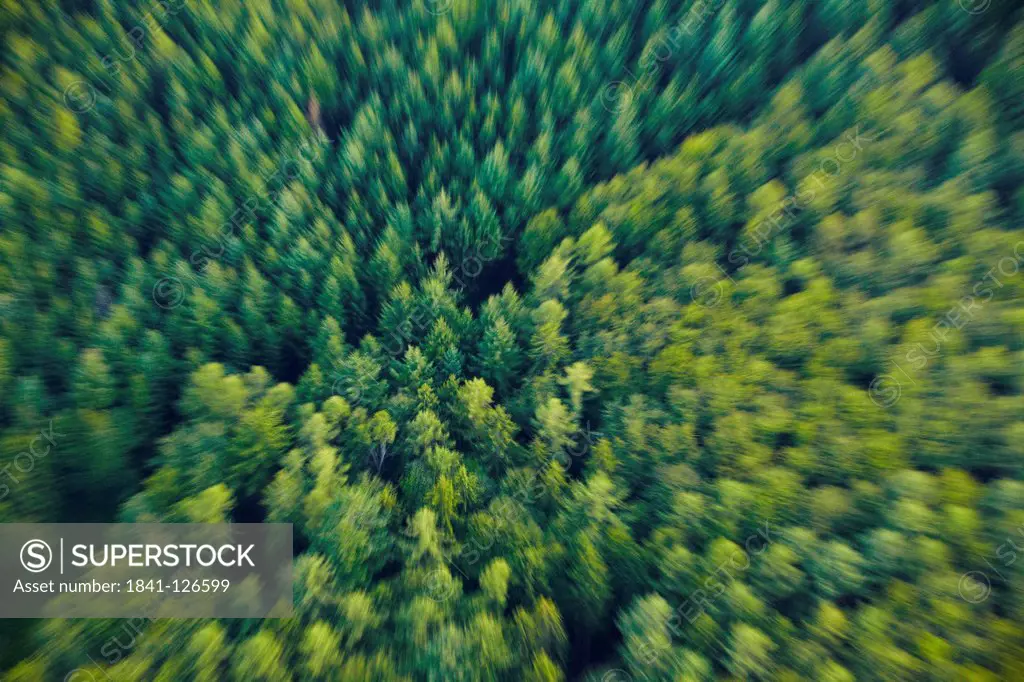 Forest, Messkirch, Oberschwaben, Baden_Wuerttemberg, Germany, Europe