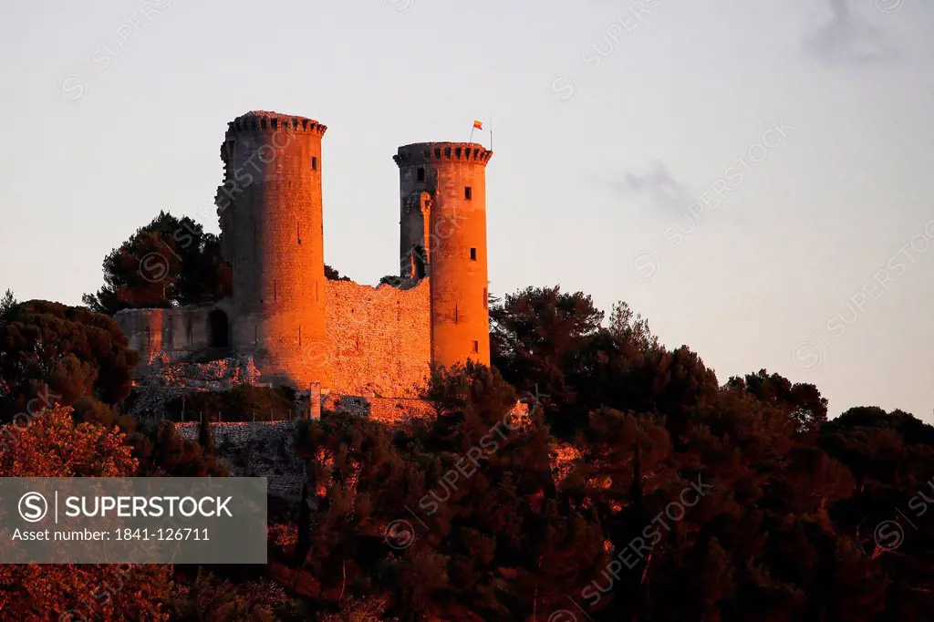 Castle ruin of Chteaurenard, Provence, France