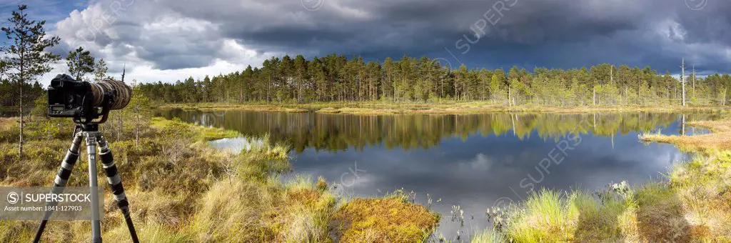 Nature reserve Knuthoejdsmossen, Vaestmanland, Oerebro Laen, Sweden, Europe