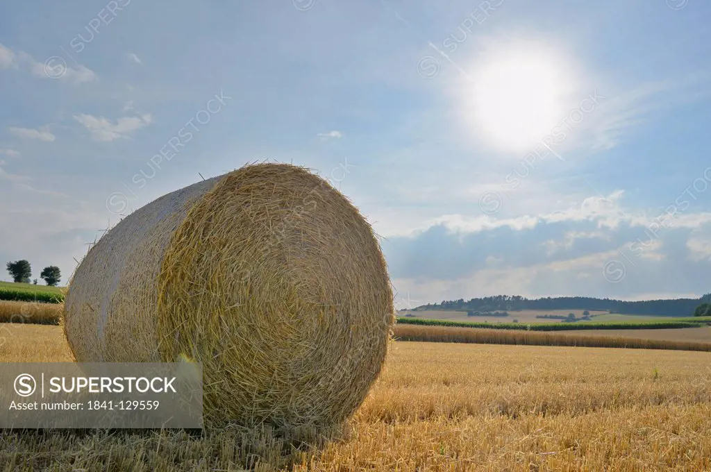 Bale of straw on stubble field, Upper Palatinate, Bavaria, Germany