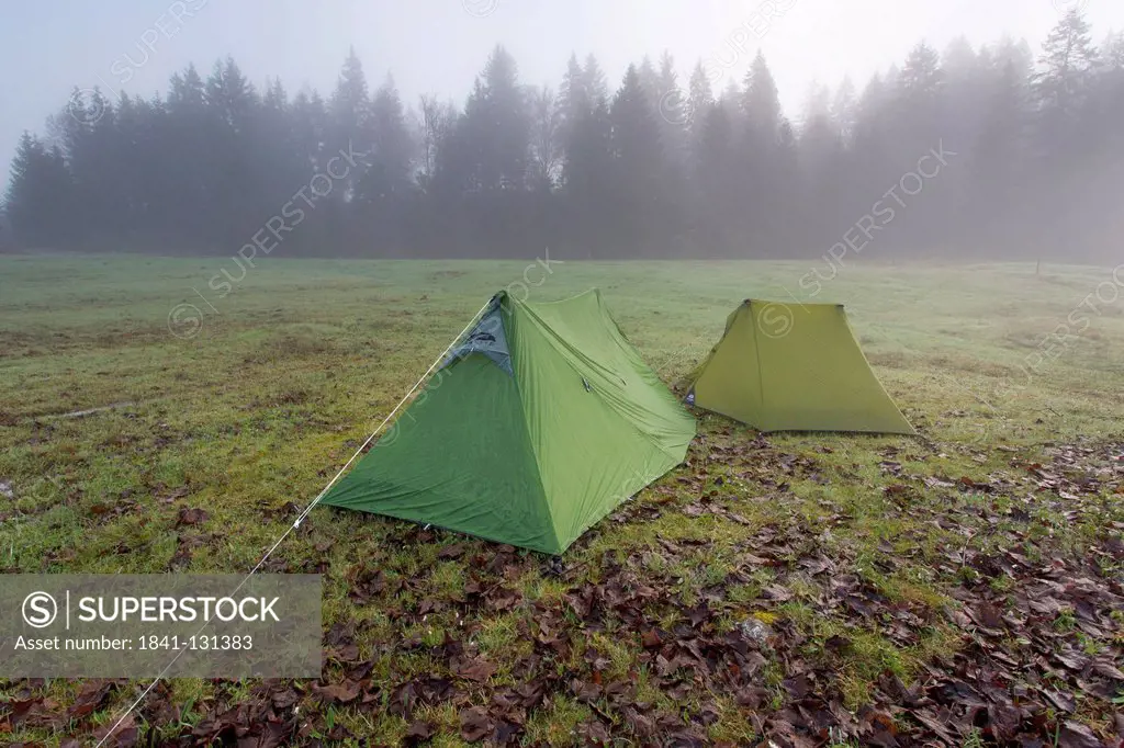 Headline: Two tents, Schluchtensteig, Black Forest, Baden-Wuerttemberg, Germany, Europe