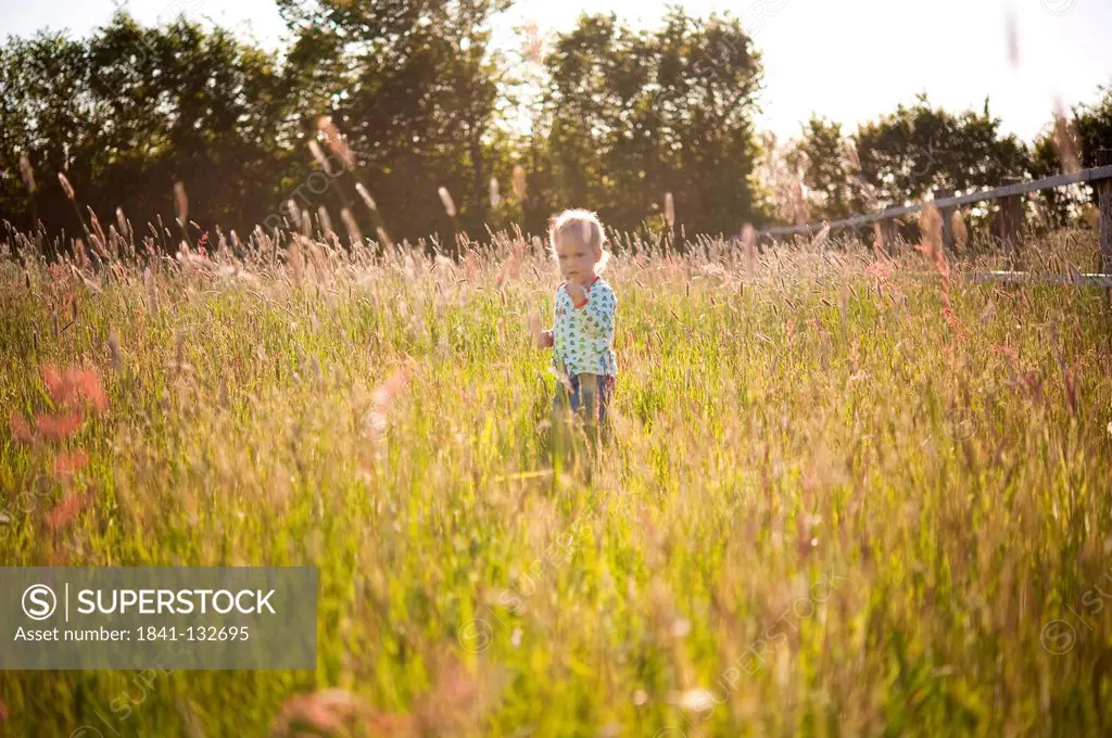 Little boy is standing on a meadow.
