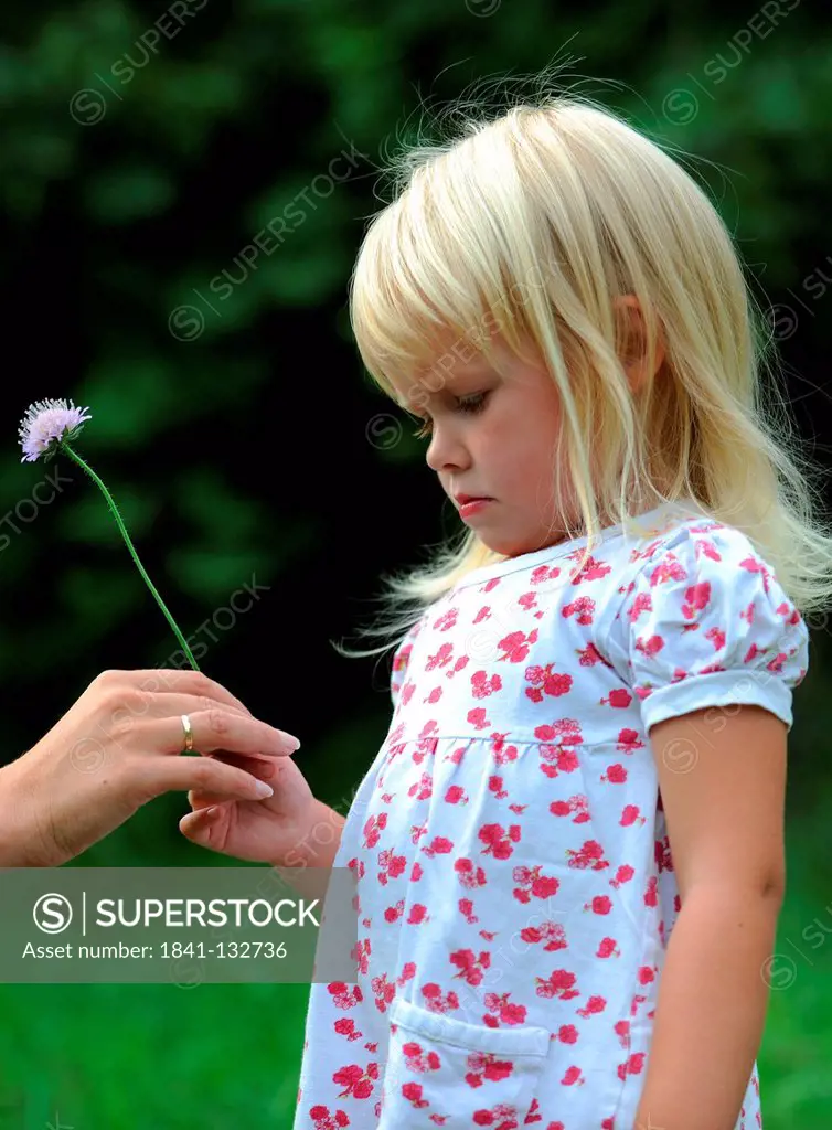 Sad little girl is been given a flower.