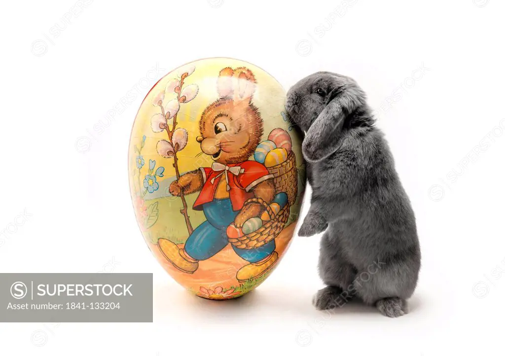 Rabbit next to Easter egg