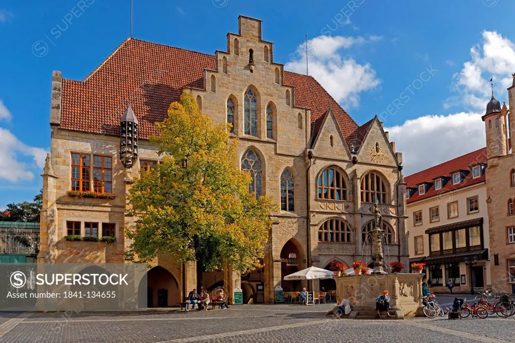 Town hall and Rolandbrunnen, Hildesheim, Lower Saxony, Germany, Europe