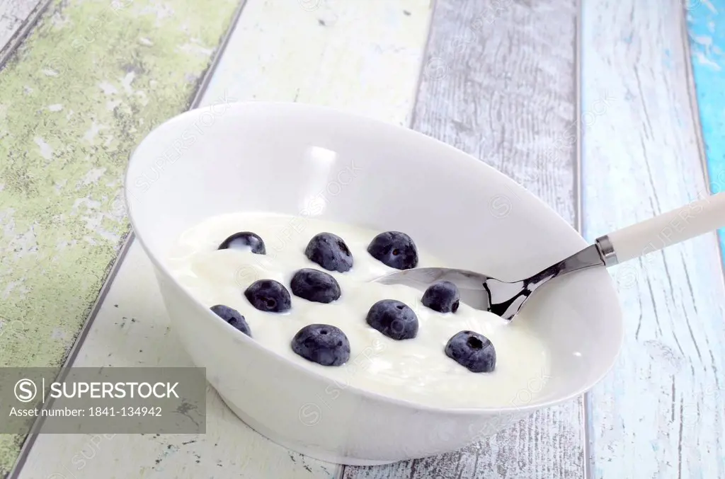 Joghurt with blueberries in a bowl, Brandenburg, Germany, Europe