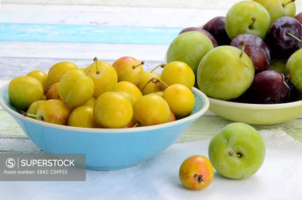 Plums and mirabelle Plums in a bowl, Brandenburg, Germany, Europe