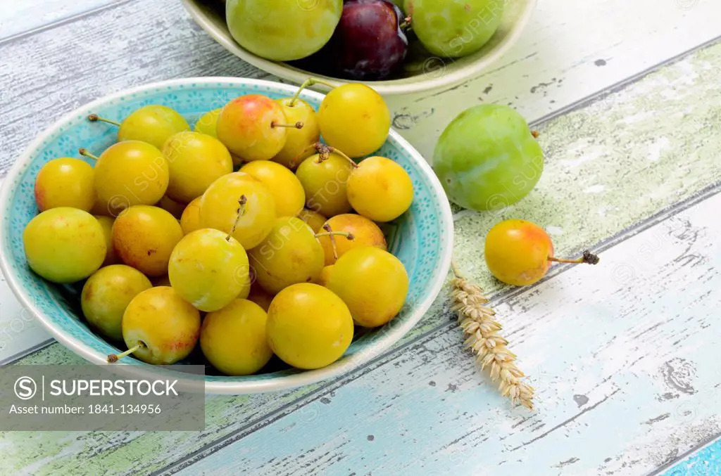 Plums and mirabelle Plums in a bowl, Brandenburg, Germany, Europe