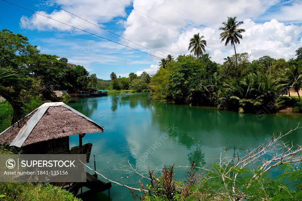 View over a river, Bohol, Philippines