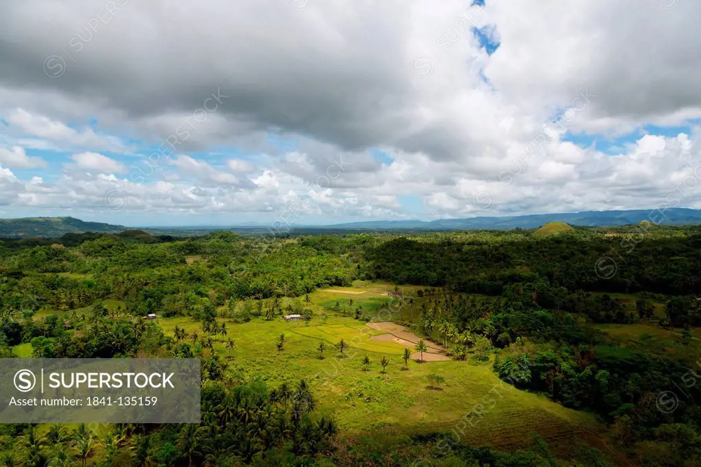Typical landscape on Bohol, Philippines