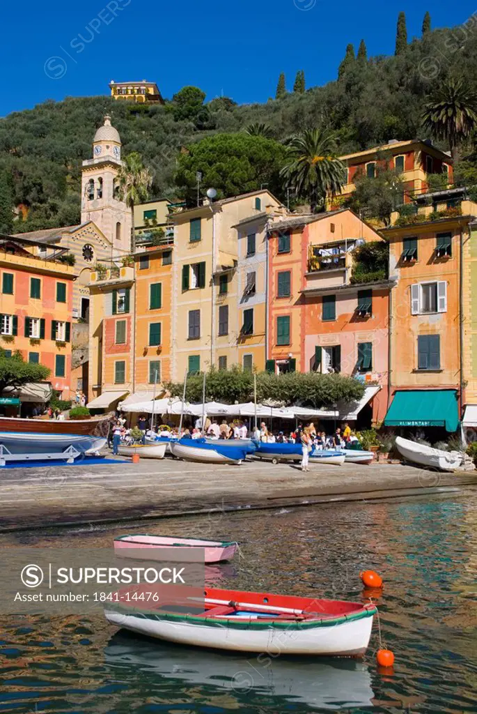 Boats at harbor, Portofino, Genoa, Liguria, Ligurian Sea, Italy