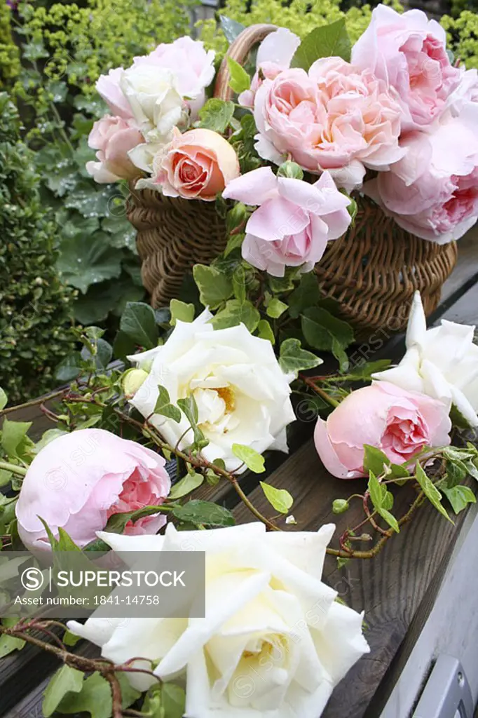 Close_up of roses in basket