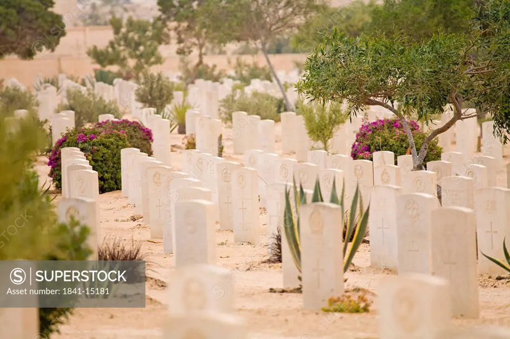 Graves in military cemetery, El Alamein, Western Desert, Egypt