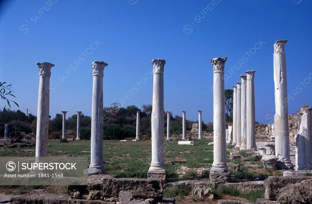 Ruins of columns, Salamis, Cyprus