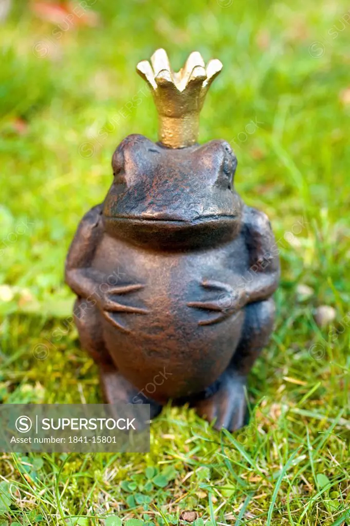 Close_up of figurine of frog prince