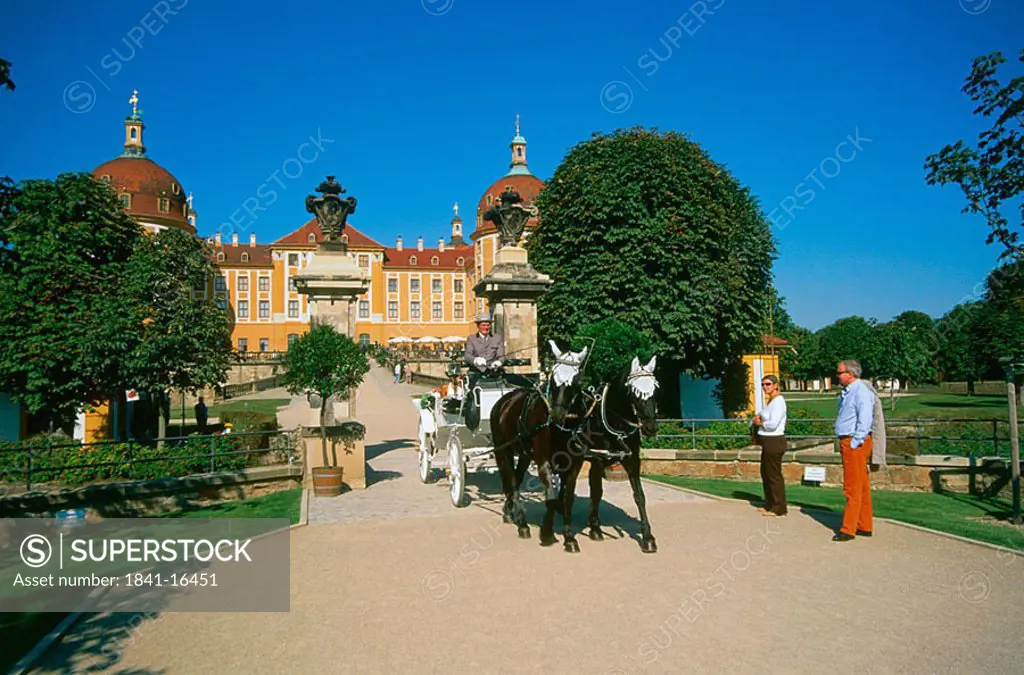 Horse carriage in front of castle, Schloss Moritzburg, Moritzburg, Saxony, Germany