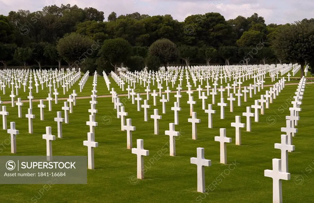 American Military Cemetery, Tunis, Tunisia, Africa