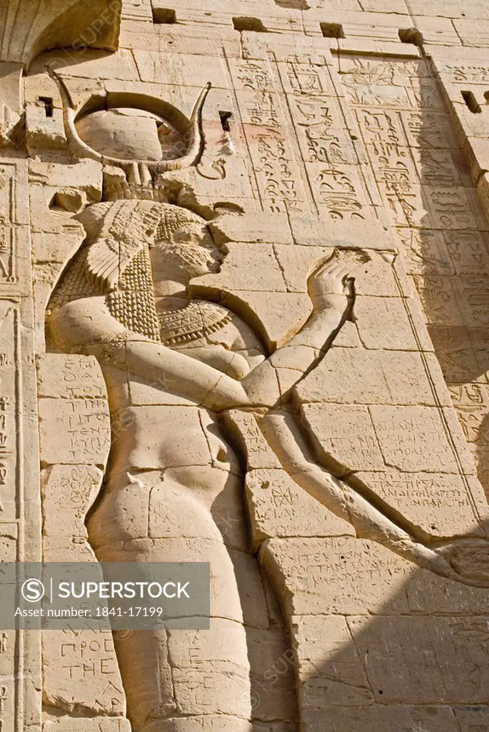 Relief on the wall of the Temple of Philae, Egypt, close_up, low angle view