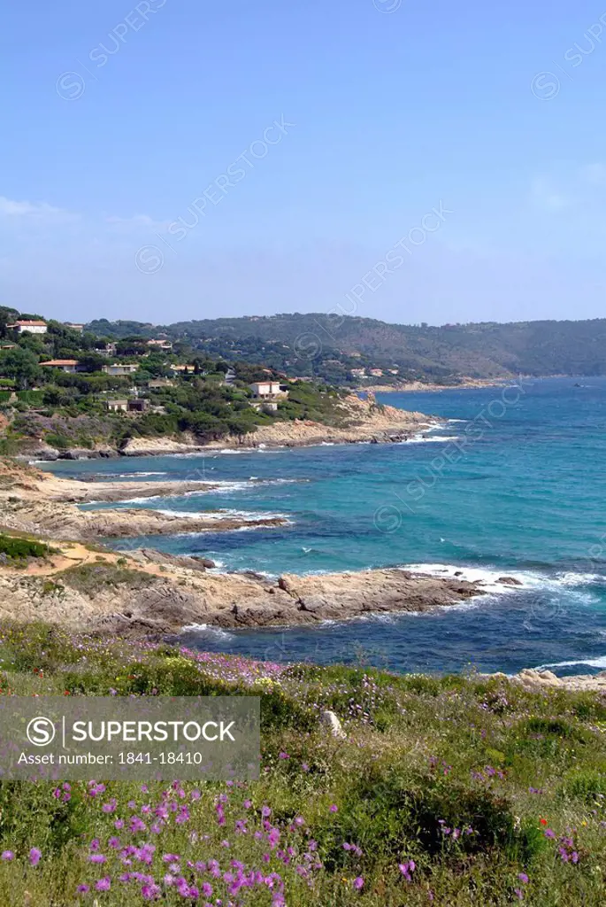 Coastline at the Cap Taillat near St. Tropez, France