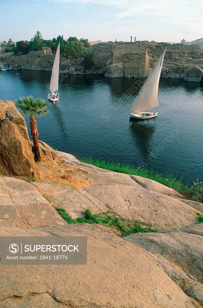 Sailboats in river, Nile River